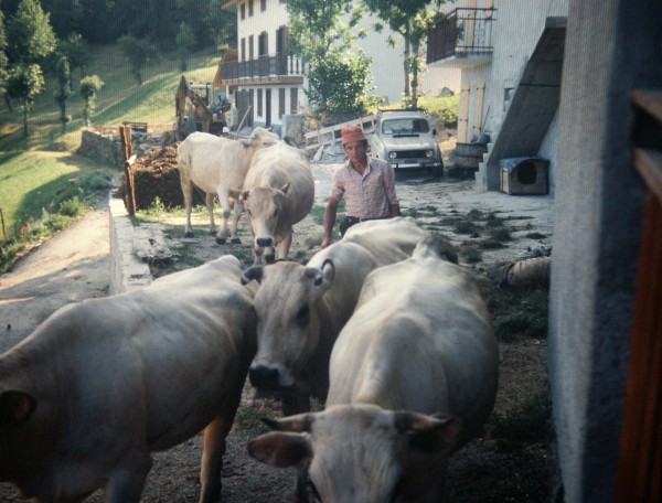 ../Images/DIAPPOSITIVE 6x6 1410.jpg